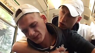 Homosexual Obey Alpha On Tram