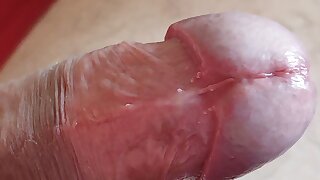 Biggest Wiry Lollipop Boy Rockets Steaming Load.