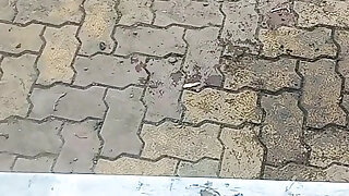 Desi Faggot Boy Sucking Wife and Beaver
